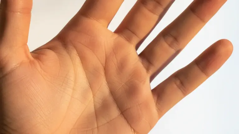 Descubra o Que as Linhas da Sua Mão Revelam