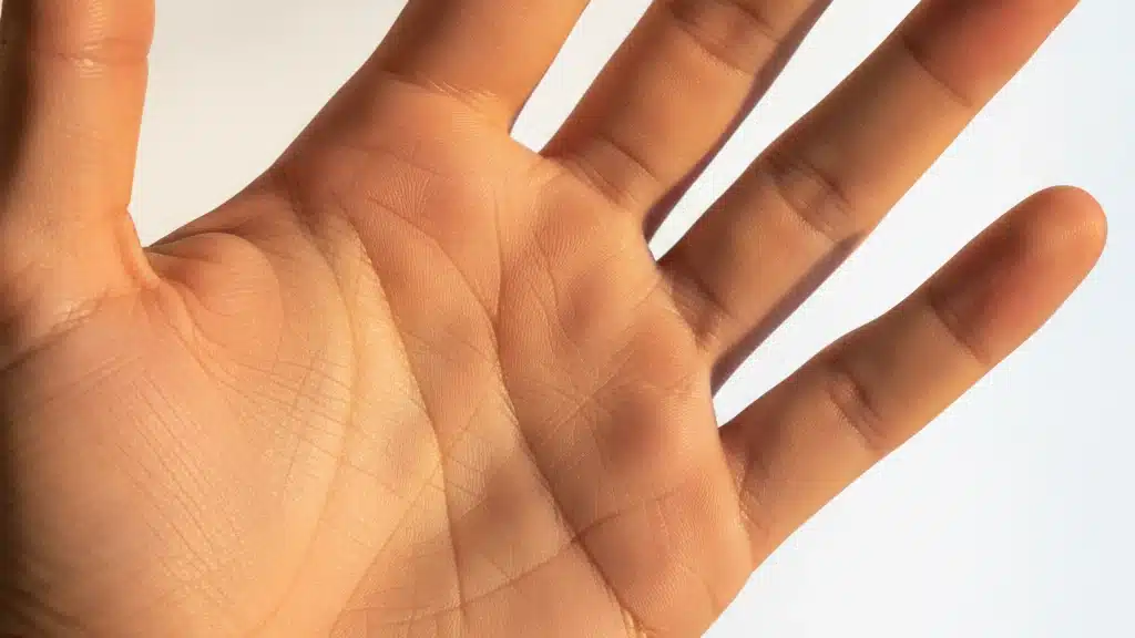 Descubra o Que as Linhas da Sua Mão Revelam
